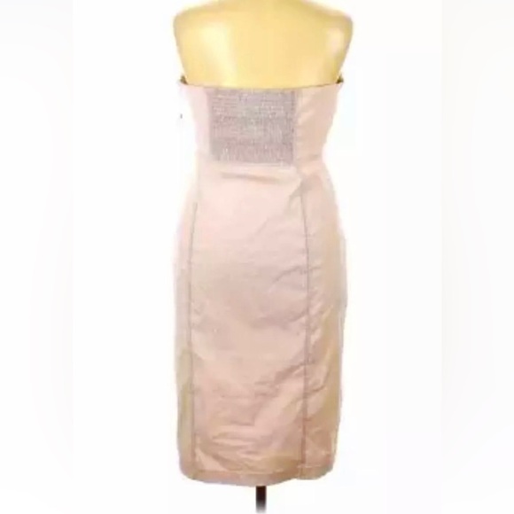 NEW $170 Anthropologie Strapless Side Slit Pale Pink Corset Dress - Stretch - XL - Picture 5 of 7